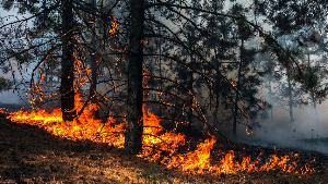 В минувшие сутки, 23 мая, в Иркутской области произошло 38 пожаров, на которых погибли 6 человек, в том числе двое детей.