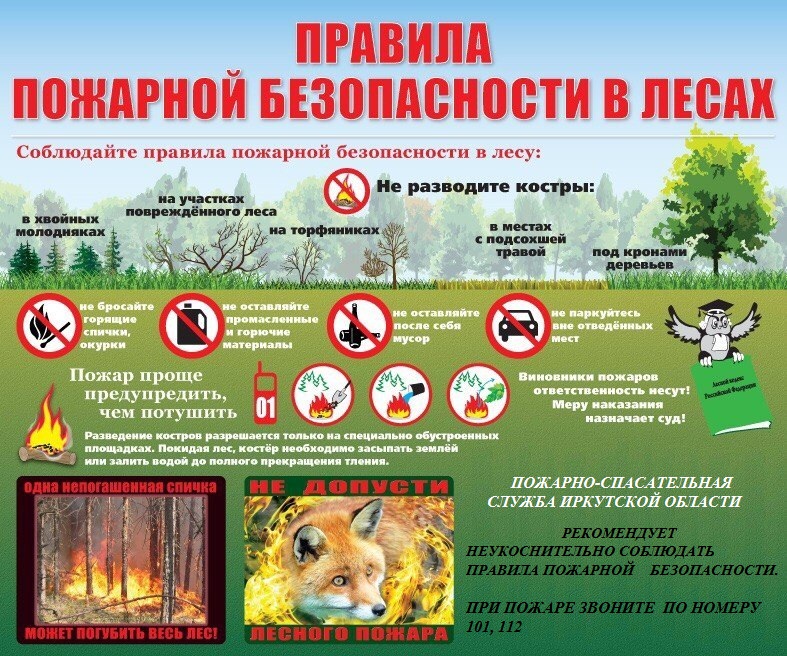 правила+пожарной+безопасности+в+лесу+1.jpg